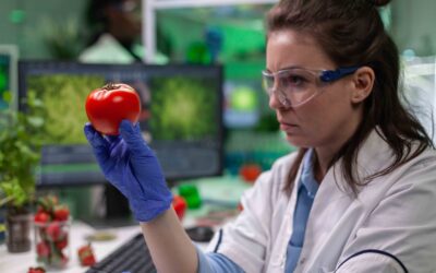 Variedades Vegetales en Chile: una jurisprudencia que aún busca coherencia